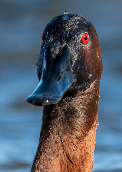 780_4487-Edit