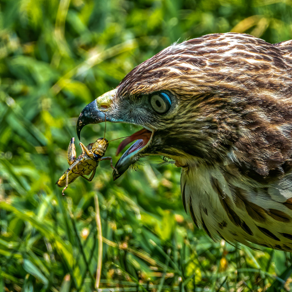 DSC_4258-Edit-2-Edit