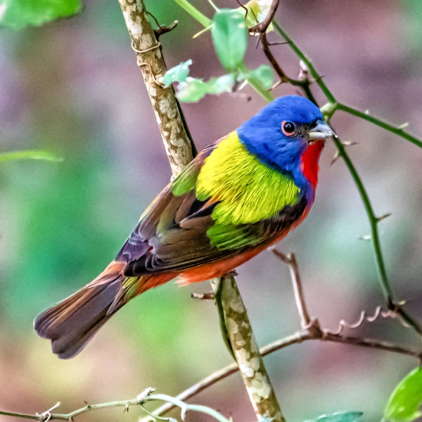 DSC_5630-Edit