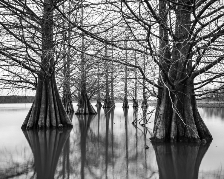 am-lake-shoot-38-HDR