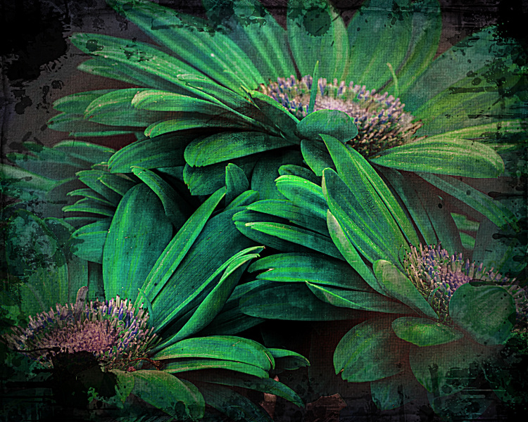 4-20-flowers-4-2