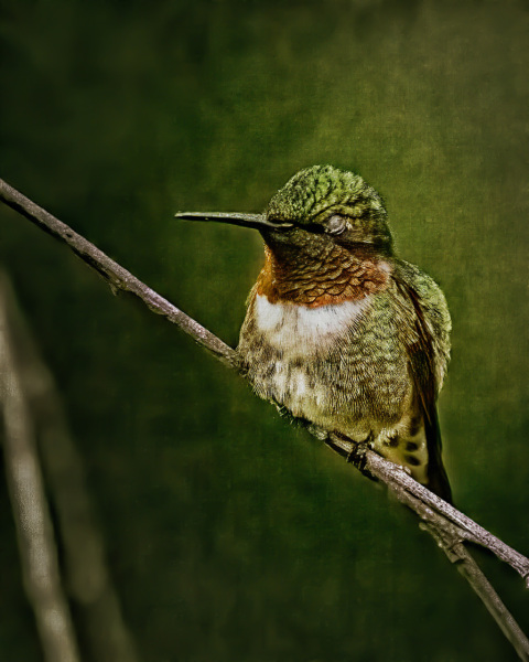 hummer-render-spe2-1
