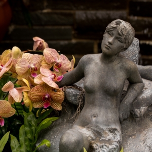 lewis ginter bot. garden-7