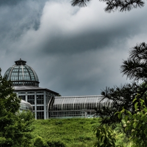 louis ginter bot garden-1