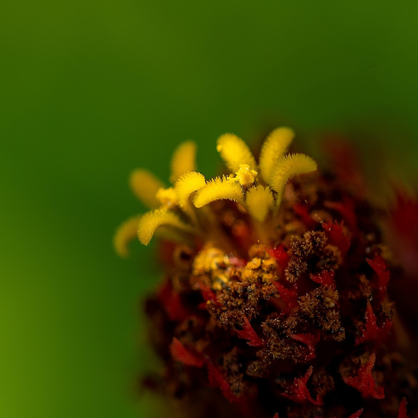 DSC_2607-Edit-2