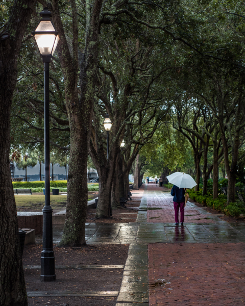 charleston rain walk1