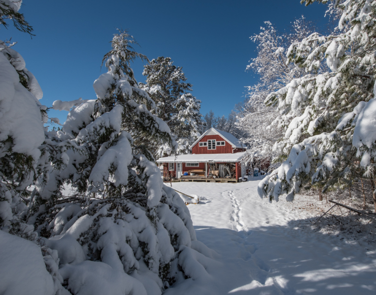 snow scene rb11 - Copy