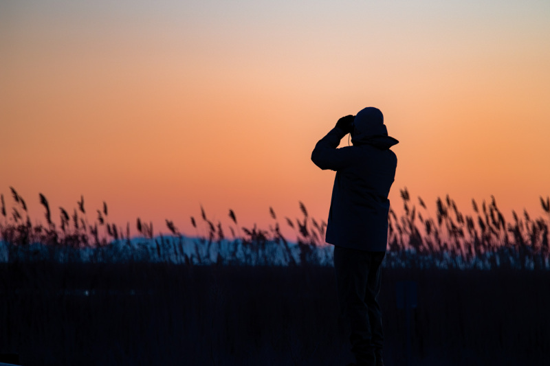 sunrise-search