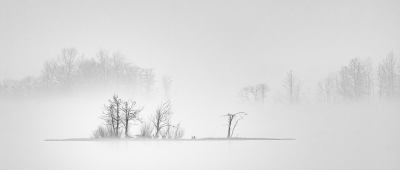 untitled-369-Edit-Edit-Edit