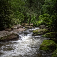 east pong of the roaring river 2